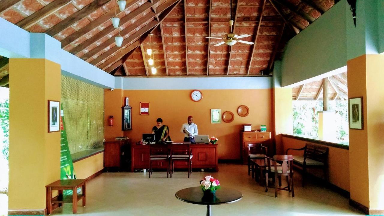 Abad Green Forest Thekkady Kumily Exterior foto