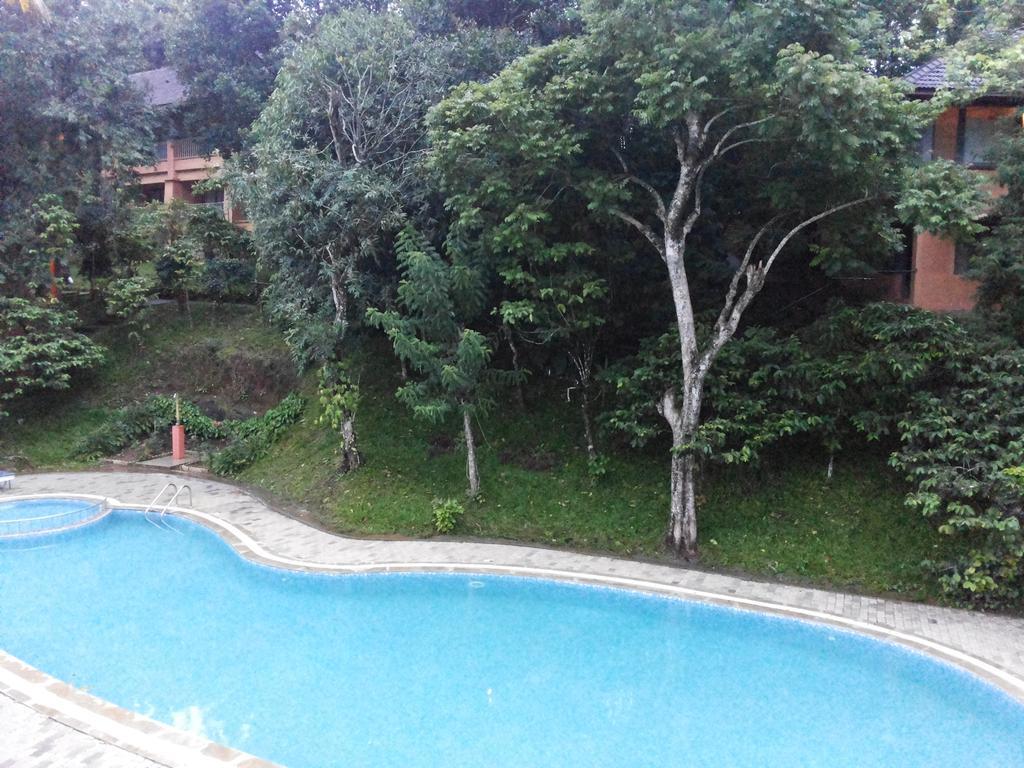 Abad Green Forest Thekkady Kumily Exterior foto